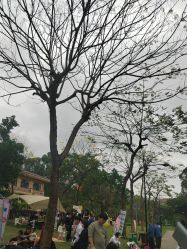 -星河湾酒店·宴会厅(番禺大道北店)