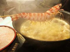 -鲜入围煮花胶鸡海鲜火锅