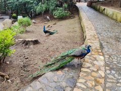 -燕塞湖鸟语林景区