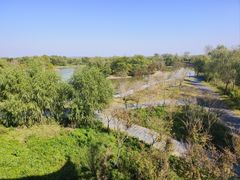 -盐城丹顶鹤湿地生态旅游区