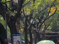 -悟饮门市景店