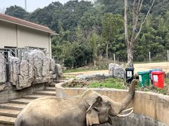 -宁波野生动物园