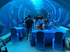 -海棠湾洲际-涛·海底餐厅·美人鱼·自助餐·海底隧道