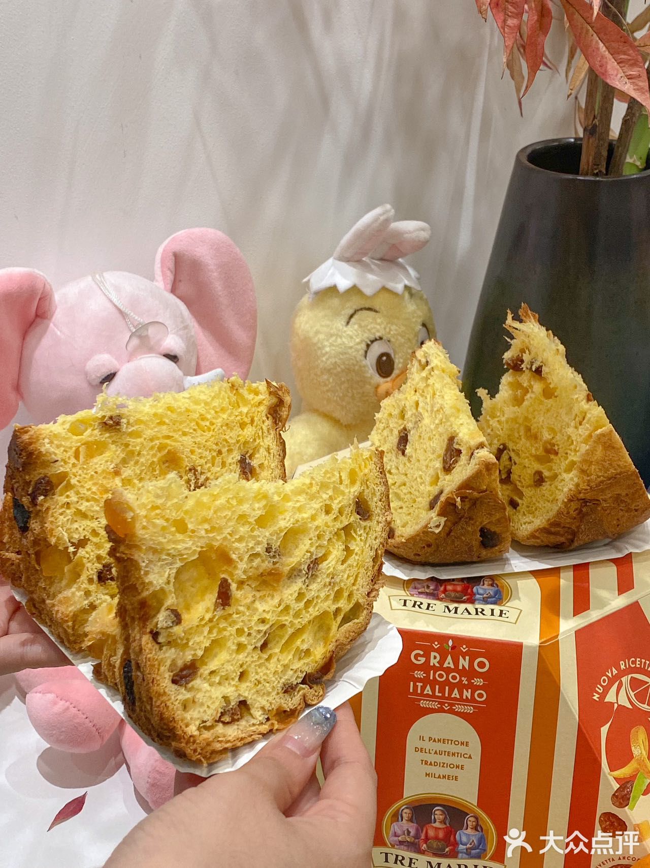 提前吃上了圣诞季🎄三个玛丽蛋糕🍰