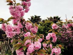 -宁波九龙湖开元度假村
