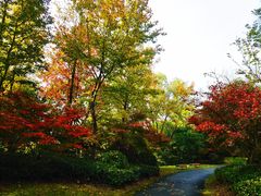 -东平国家森林公园