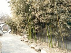 -王家大院