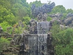 -上海鲜花港