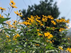 -鹫峰国家森林公园