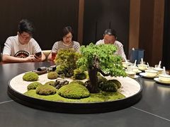 -阿露佳·舌尖上的安吉菜