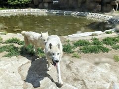 -齐齐哈尔龙沙动植物园