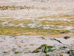 -北海金海湾红树林生态旅游区