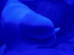 -沈阳海洋探索中心