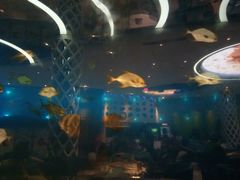 -瑞德姆美人鱼海底演艺主题餐厅(亚龙湾店)