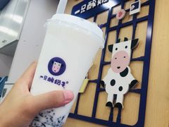 -一只酸奶牛(八一路店)