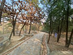 -北京鹫峰国家森林公园