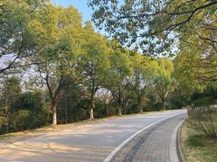 -南京市江宁方山