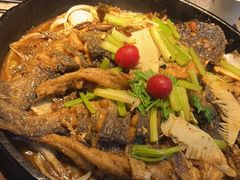 -老板恋上鱼(恒隆广场店)