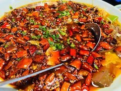 毛血旺-陈麻婆豆腐总店