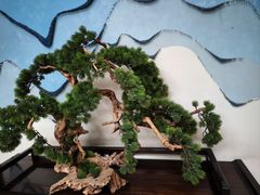 -杭州西湖东坡酒店