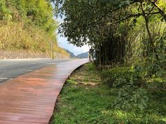 -广州市石门国家森林公园