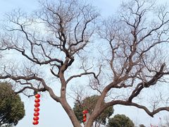 -嬉乐湾休闲旅游区