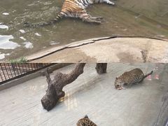 -深圳野生动物园
