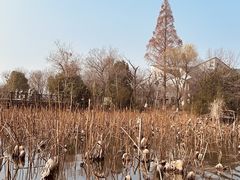 -西溪国家湿地公园