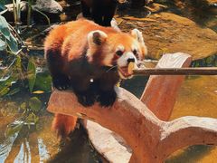 -长鹿旅游休博园