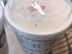 -一只酸奶牛(锦城万达天虹店)