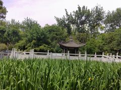 -莲湖公园