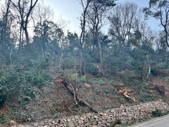 -岳麓山风景名胜区