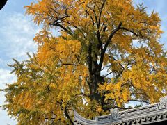 -惠山古镇·寄畅园