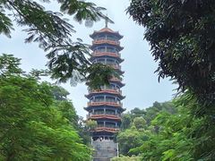 -红花山公园