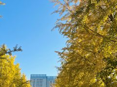 -辽宁大学(崇山校区)