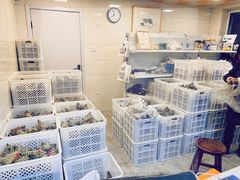 -璐坊粽王(复兴中路店)