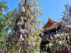 -北京国子监胡同