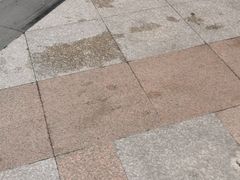 -SPARROW 家雀儿咖啡本店