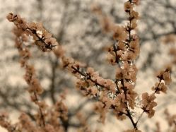 -北京七彩云南翡翠珠宝旗舰店(月坛店)