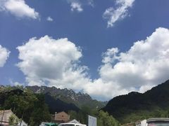-王顺山国家森林公园