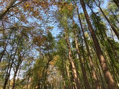 -共青国家森林公园-南大门停车场