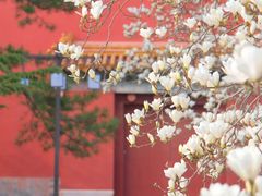-北京市劳动人民文化宫