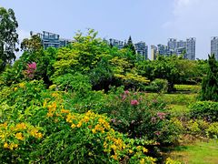 -南沙蒲洲花园