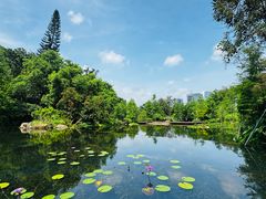 -云溪植物园