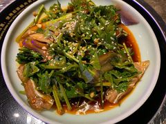 香菜猪耳-三人行骨头王火锅(长寿店)