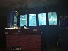 -S Team剧情密室(杭州龙翔桥店)