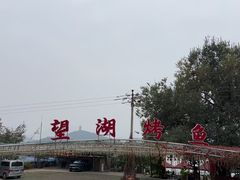 -望湖烤鱼