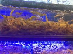 -透明思烤·自助烤肉海鲜火锅(东部星悦天地店)