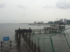 -碧海金沙