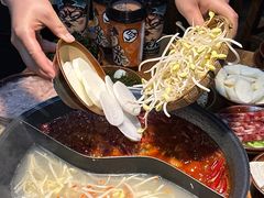 -阳阳老火锅(小南门店)